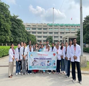 Field Visit (Exploring Real World Insights)